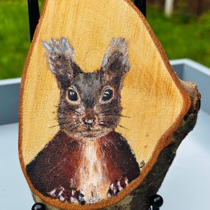 Red squirrel